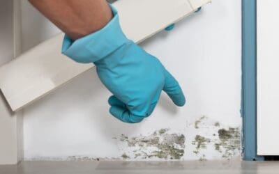 What Your Home Is Trying to Tell You: How to Recognize Signs of Mold Growth